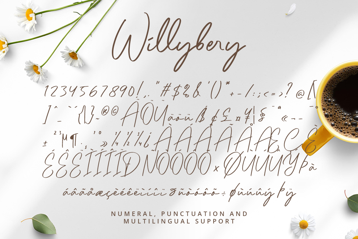 Willybery Classy Script Font - Image 10