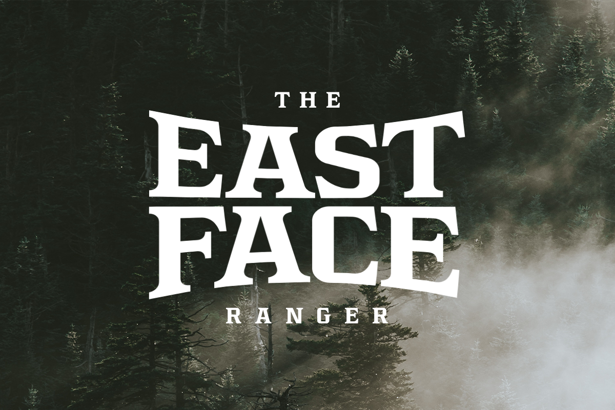 Hogers Modern Serif Font - Image 5