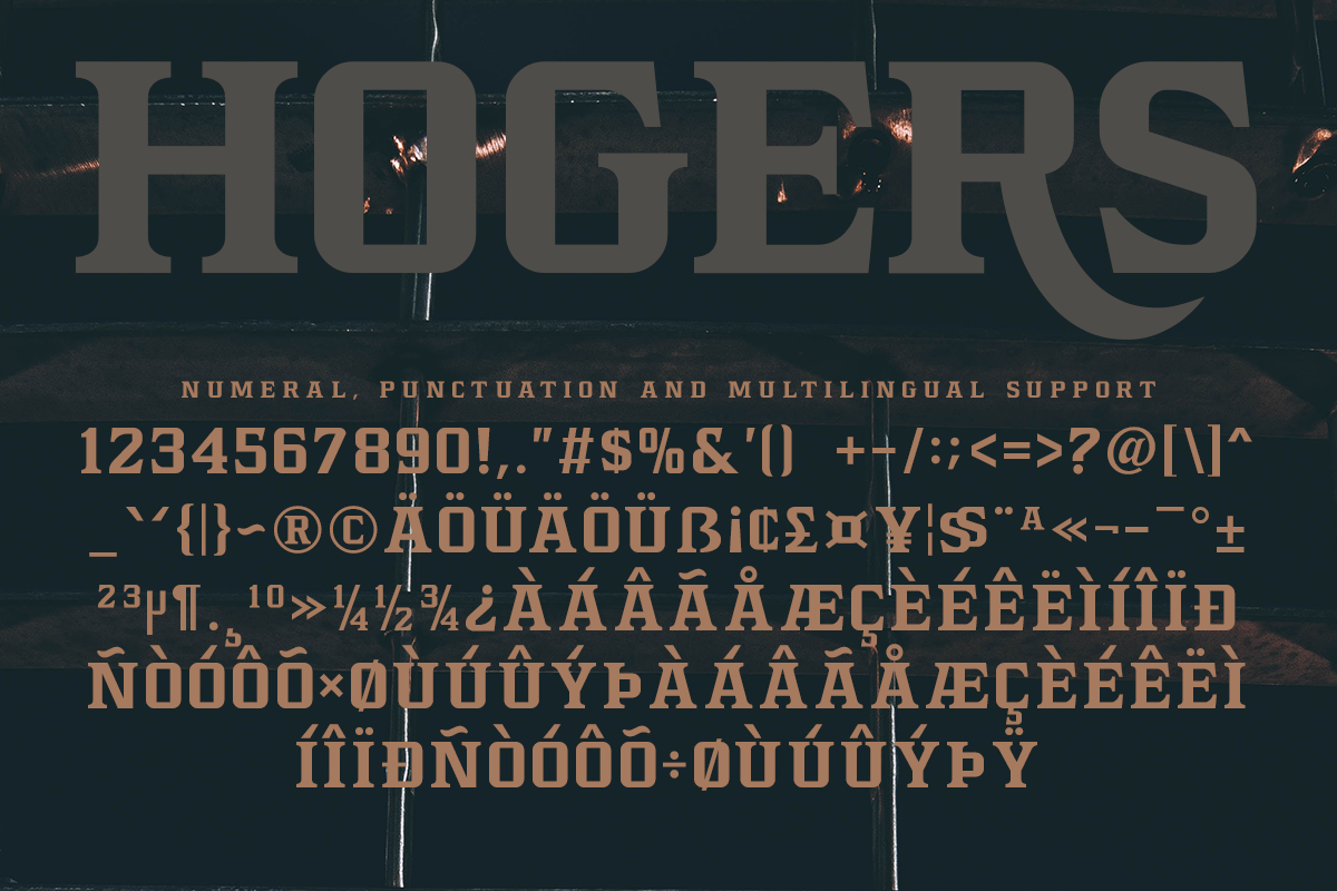 Hogers Modern Serif Font - Image 10