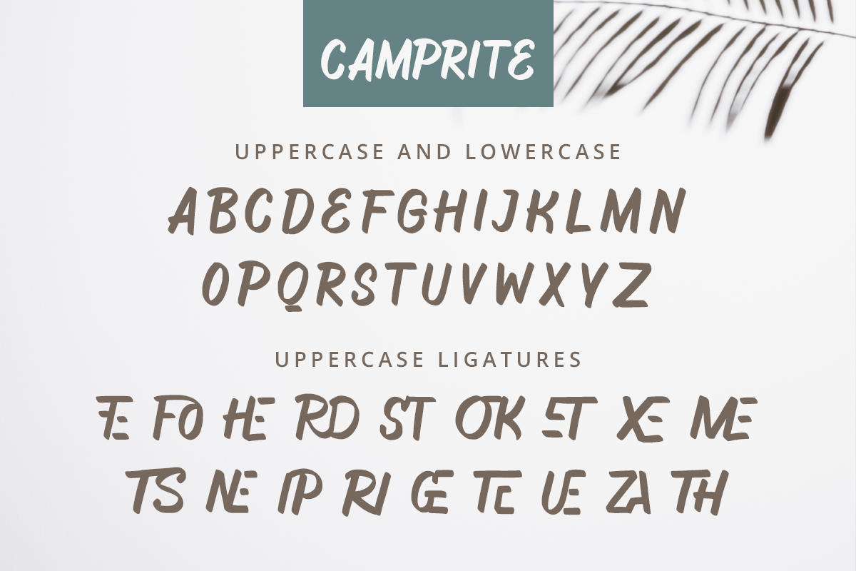 Camprite Modern Handwritten Font - Image 8