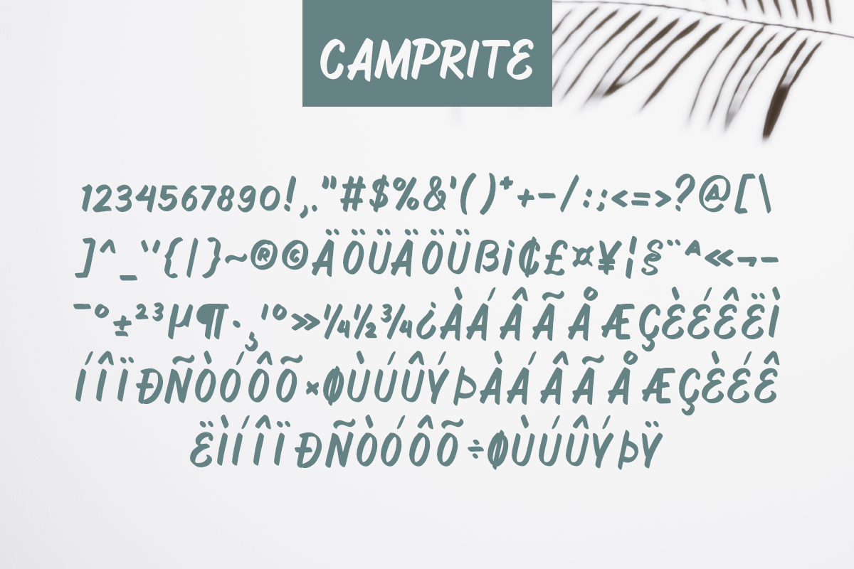 Camprite Modern Handwritten Font - Image 9