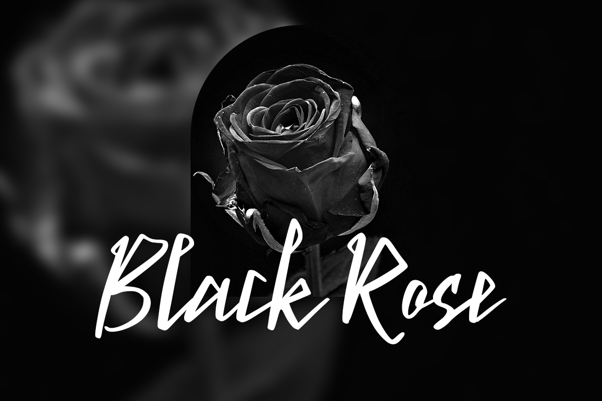 Martinos Modern Handwritten Font - Image 7