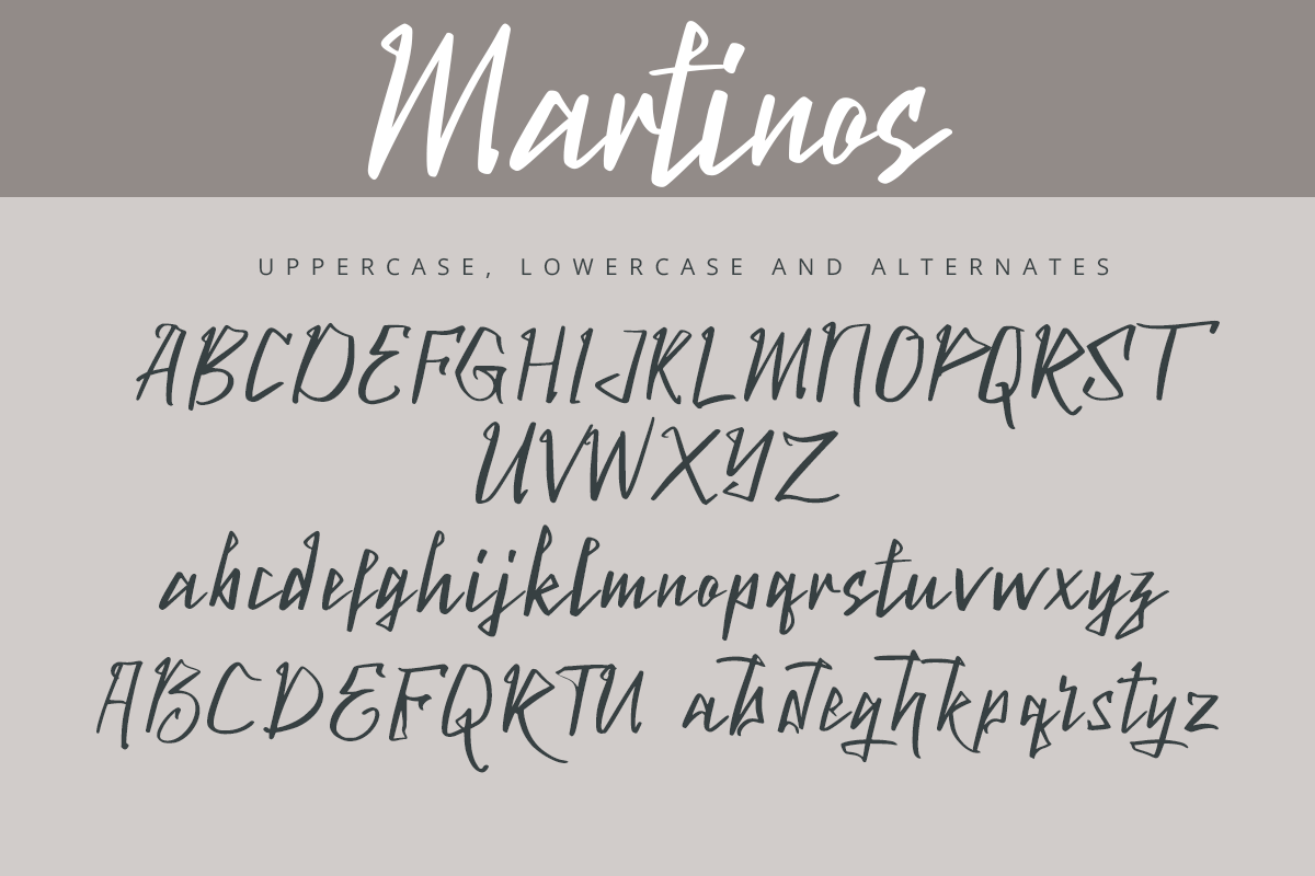 Martinos Modern Handwritten Font - Image 8