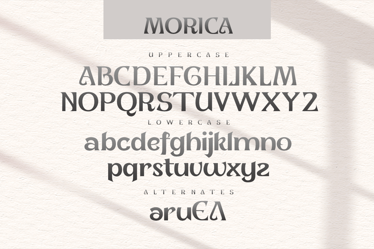Morica Modern Serif Font - Image 8
