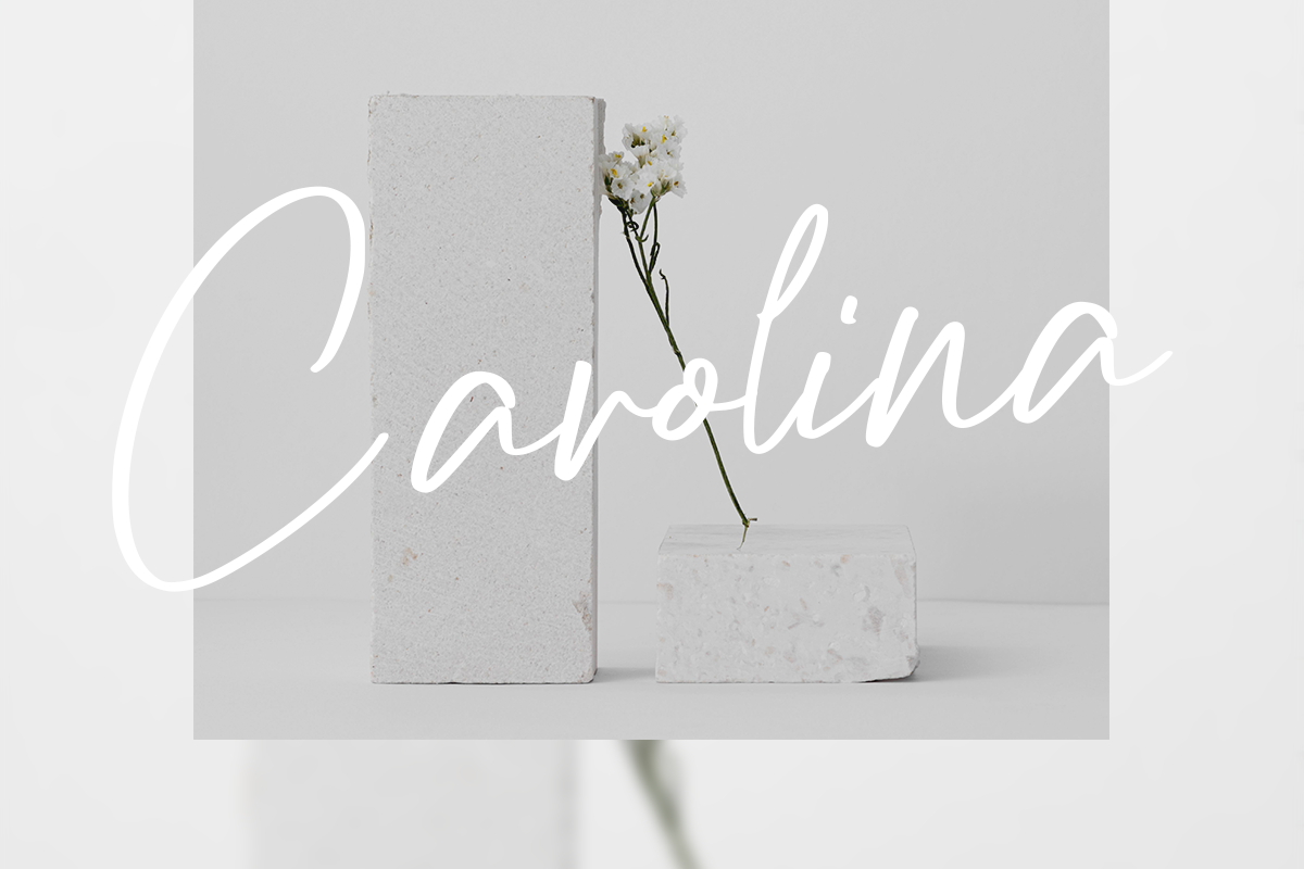 Enterlight Classy Handwritten Font - Image 4