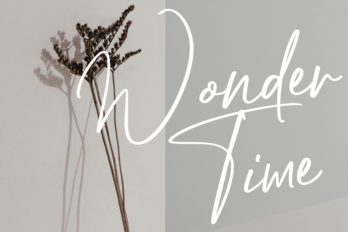 Enterlight Classy Handwritten Font - Image 5