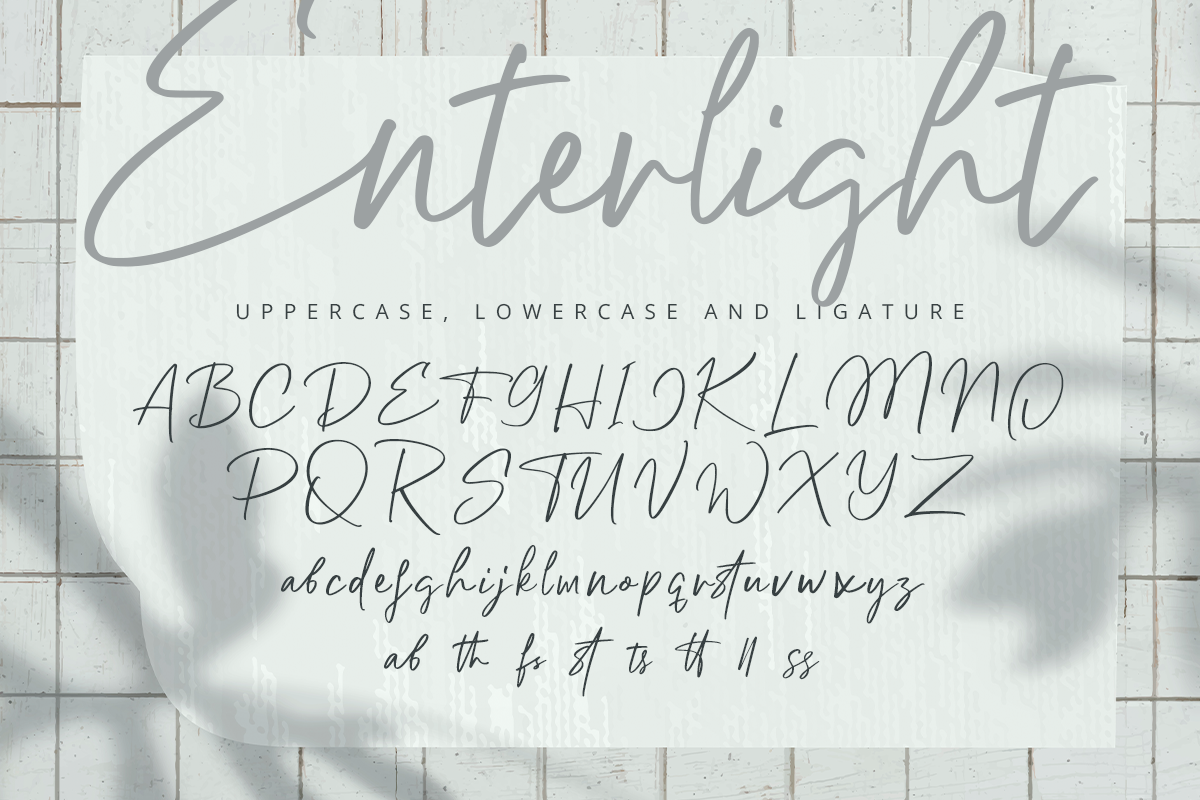 Enterlight Classy Handwritten Font - Image 8