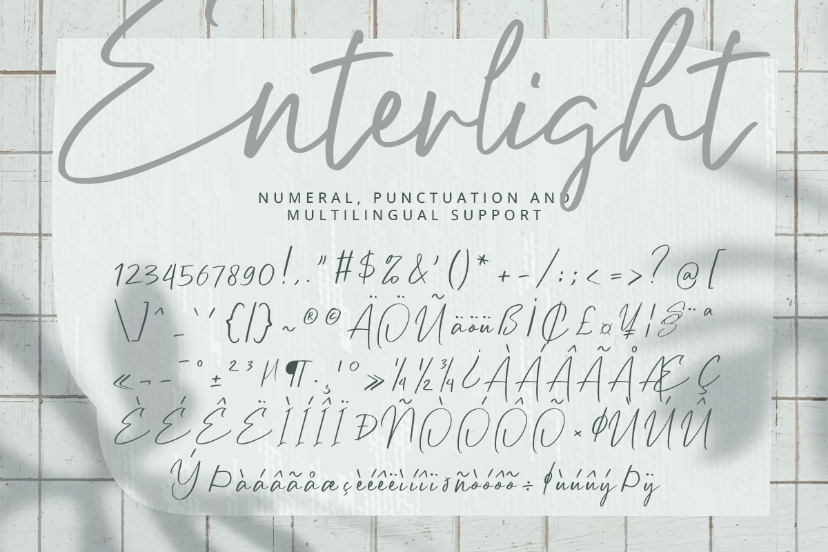 Enterlight Classy Handwritten Font - Image 9
