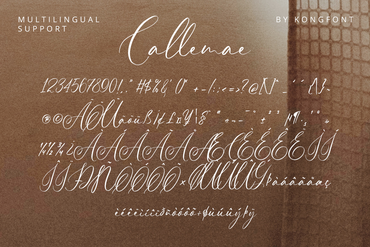 Callemae Modern Handwritten Script Font - Image 11