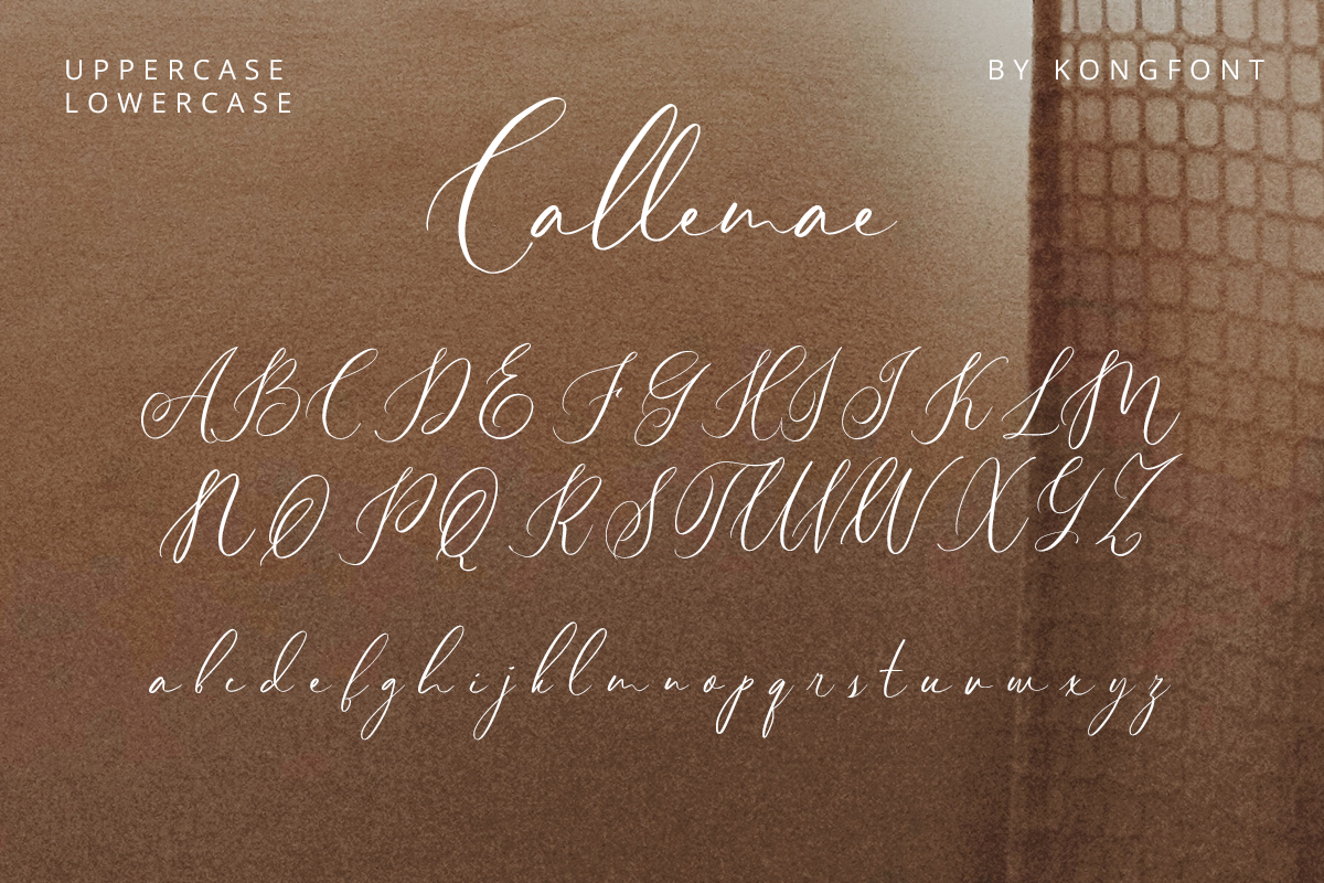 Callemae Modern Handwritten Script Font - Image 9