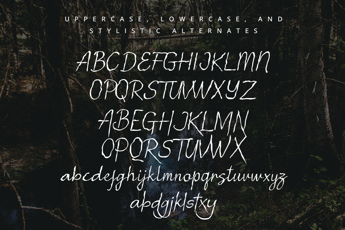 Flush Modern Display Decorative Font - Image 7