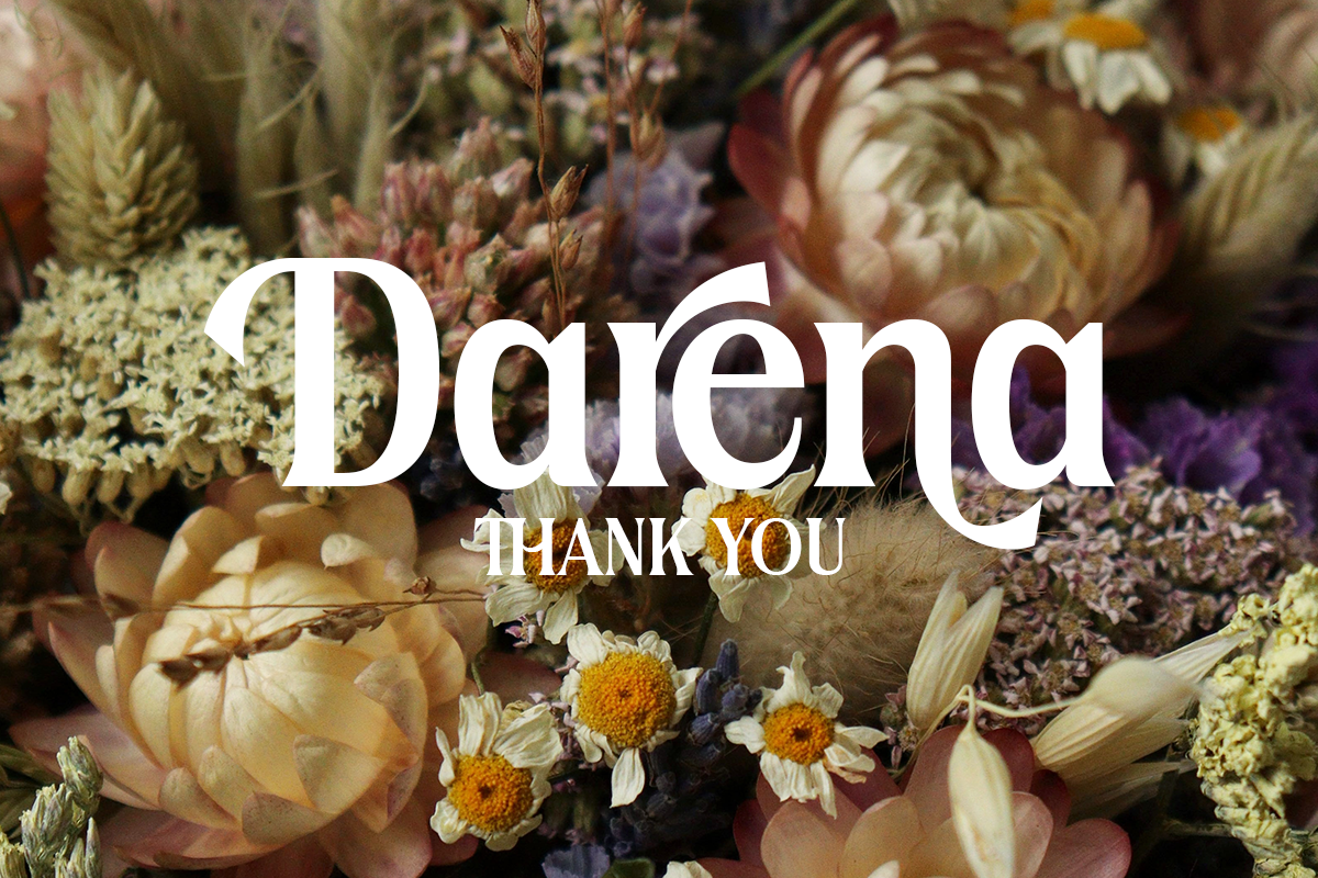 Darena Modern Serif Font - Image 10