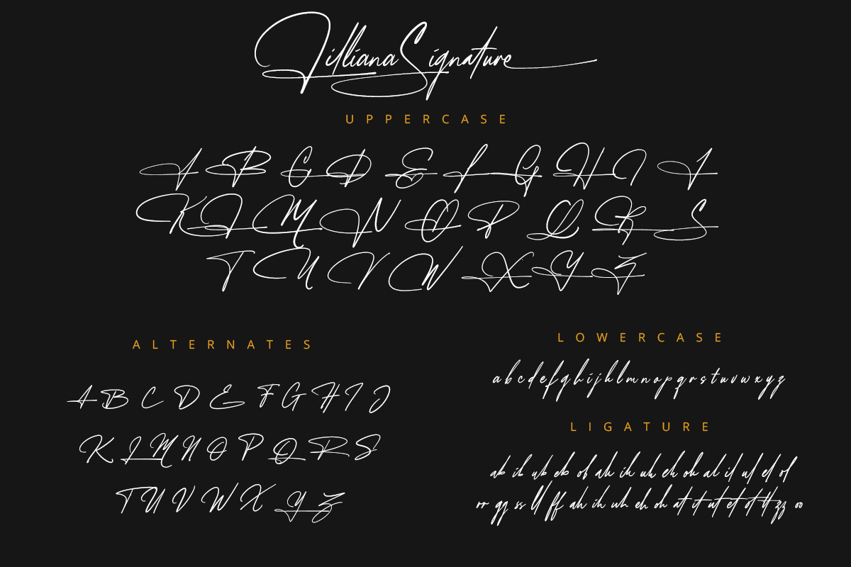 Lilliana Signature Classy Handwritten Script Font - Image 7