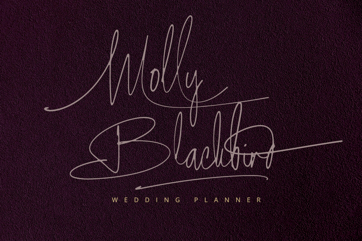 Outlouders Signature Classy Handwritten Script Font - Image 3