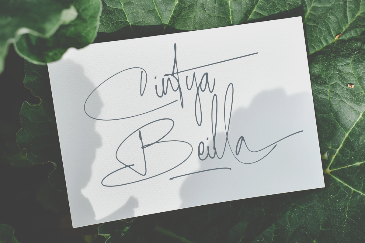 Outlouders Signature Classy Handwritten Script Font - Image 5