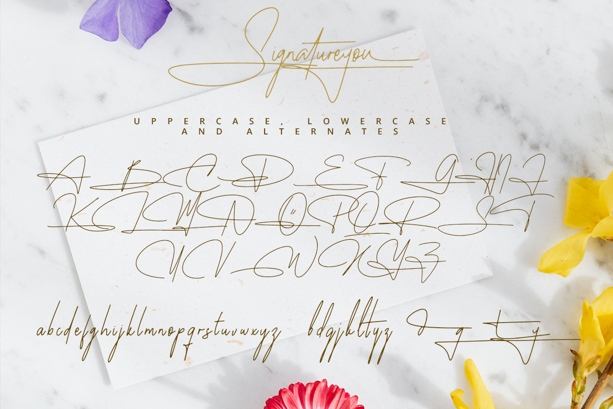 Signatureyou Classy Handwritten Script Font - Image 7