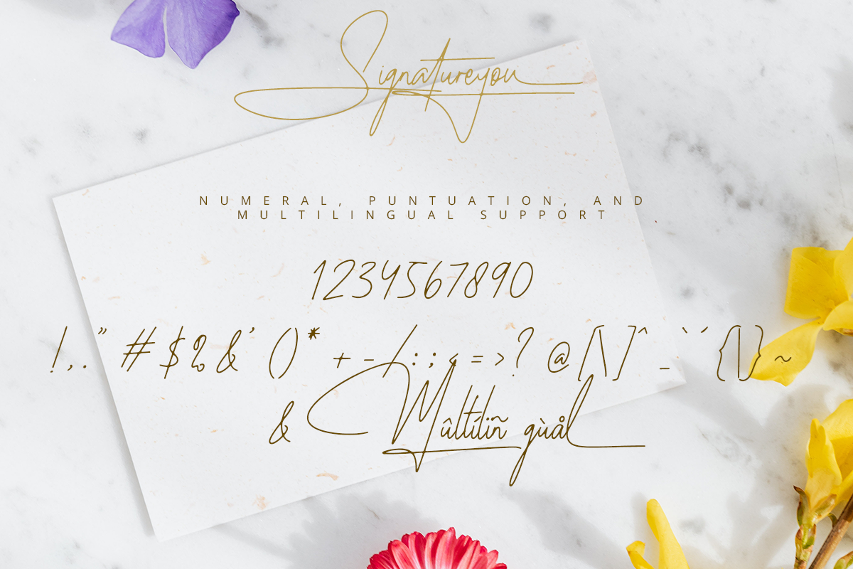 Signatureyou Classy Handwritten Script Font - Image 9