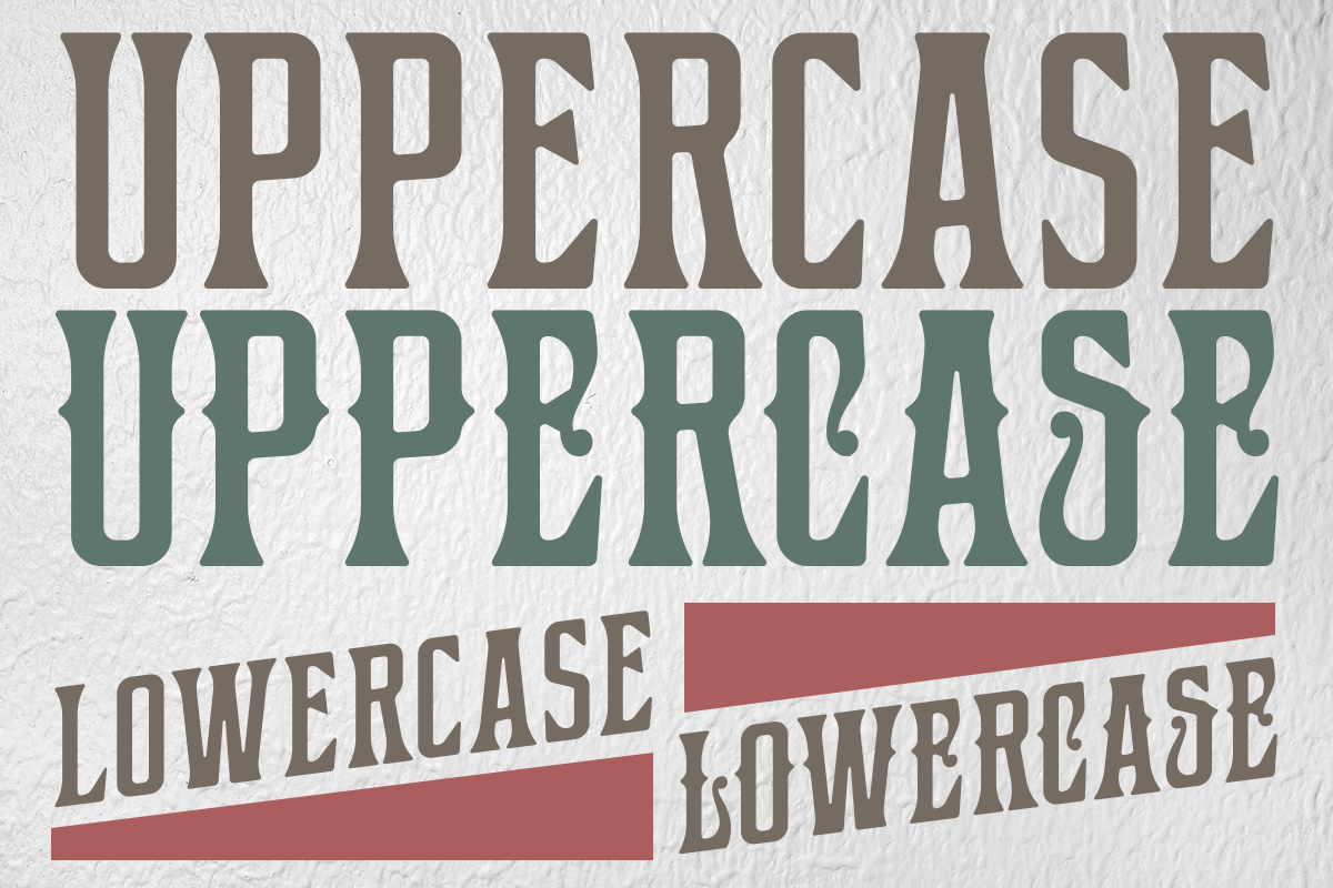 Bushcraft Modern Unique Display Font - Image 8