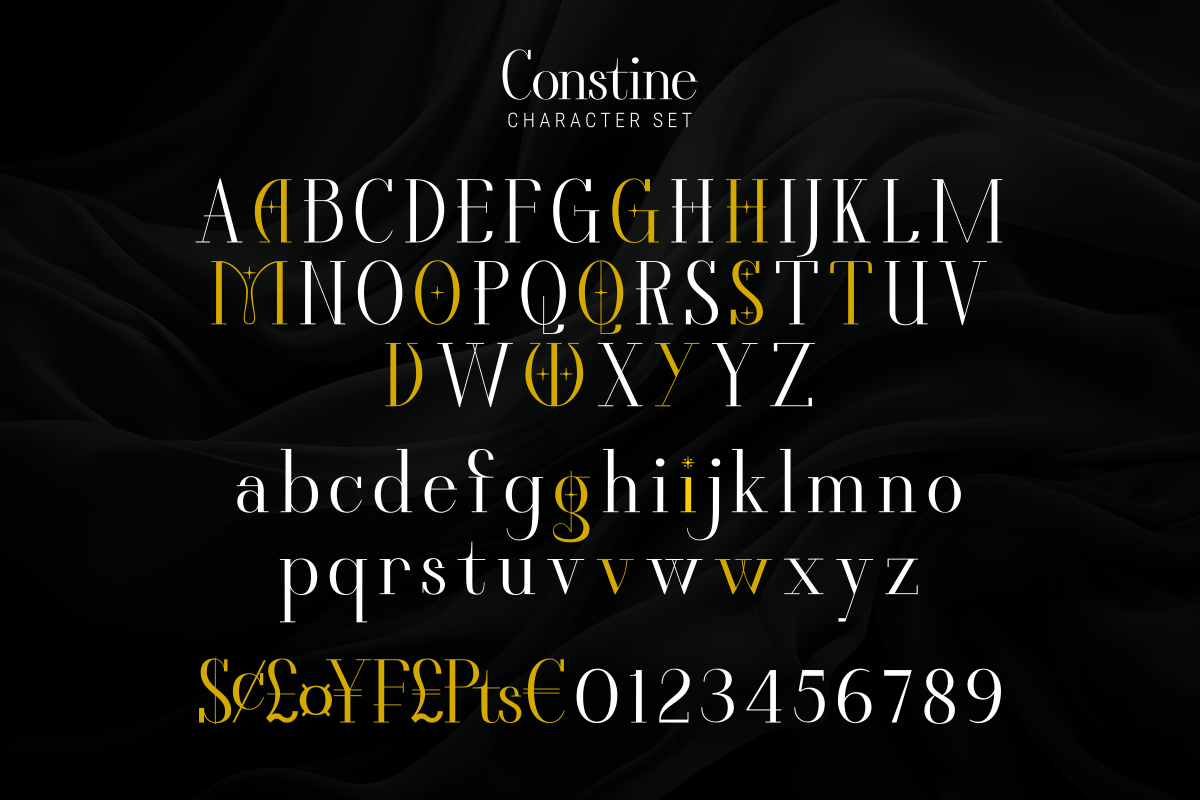 Constine Unique Classy Serif Font - Image 11