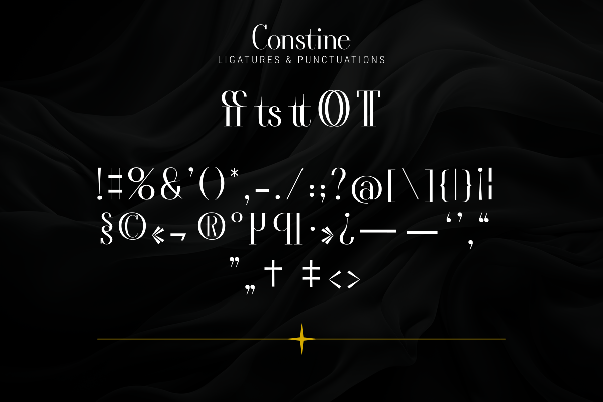 Constine Unique Classy Serif Font - Image 12