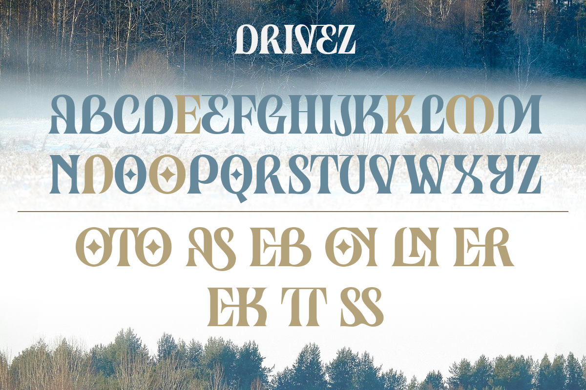 Drivez Modern Unique Serif Font - Image 7