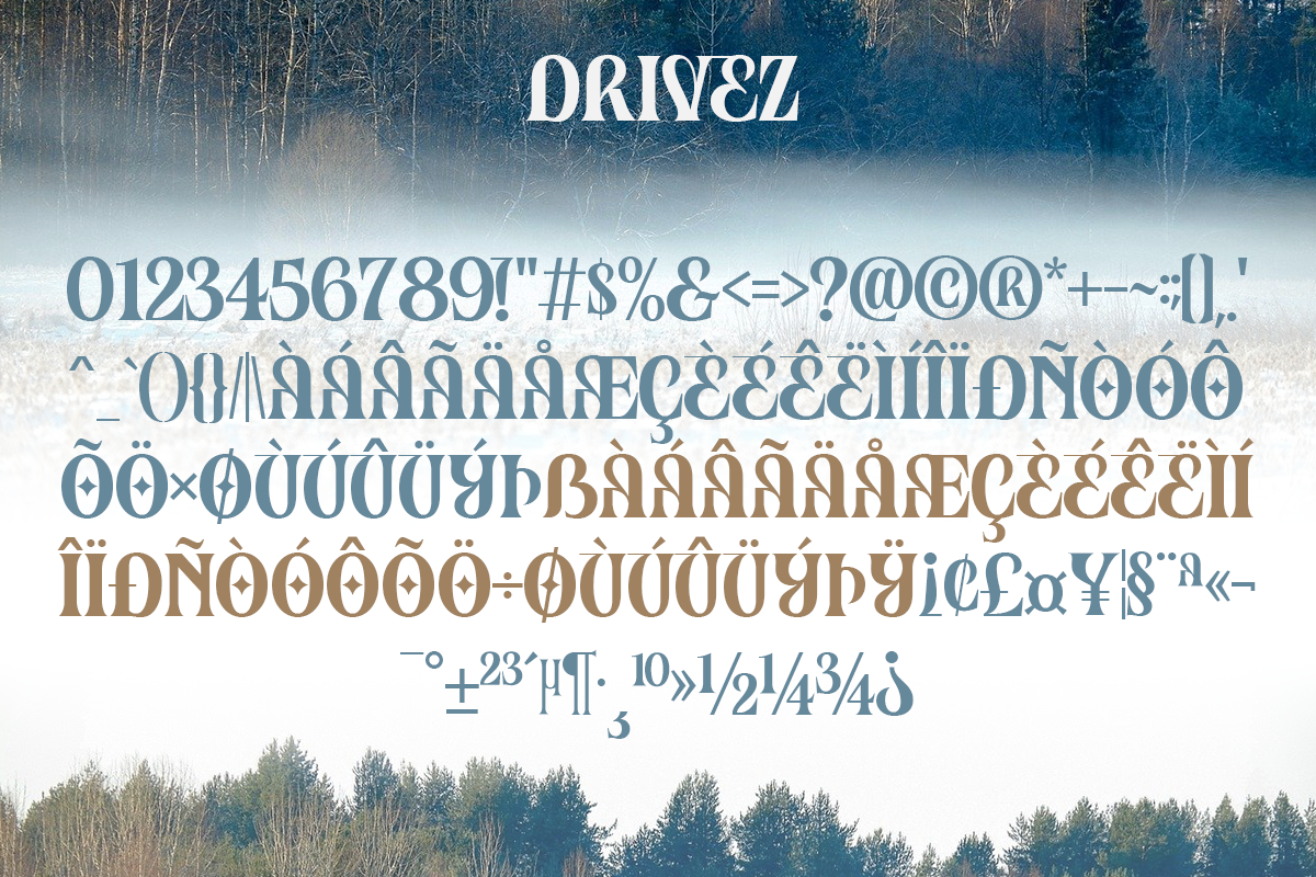 Drivez Modern Unique Serif Font - Image 8