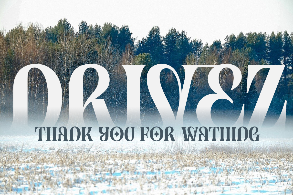 Drivez Modern Unique Serif Font - Image 9