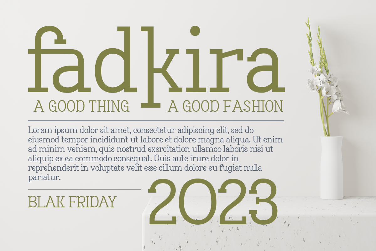 Movein Modern Classy Serif Font - Image 4