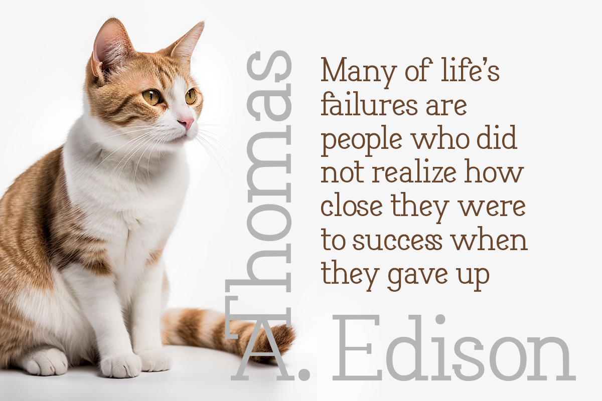 Movein Modern Classy Serif Font - Image 6