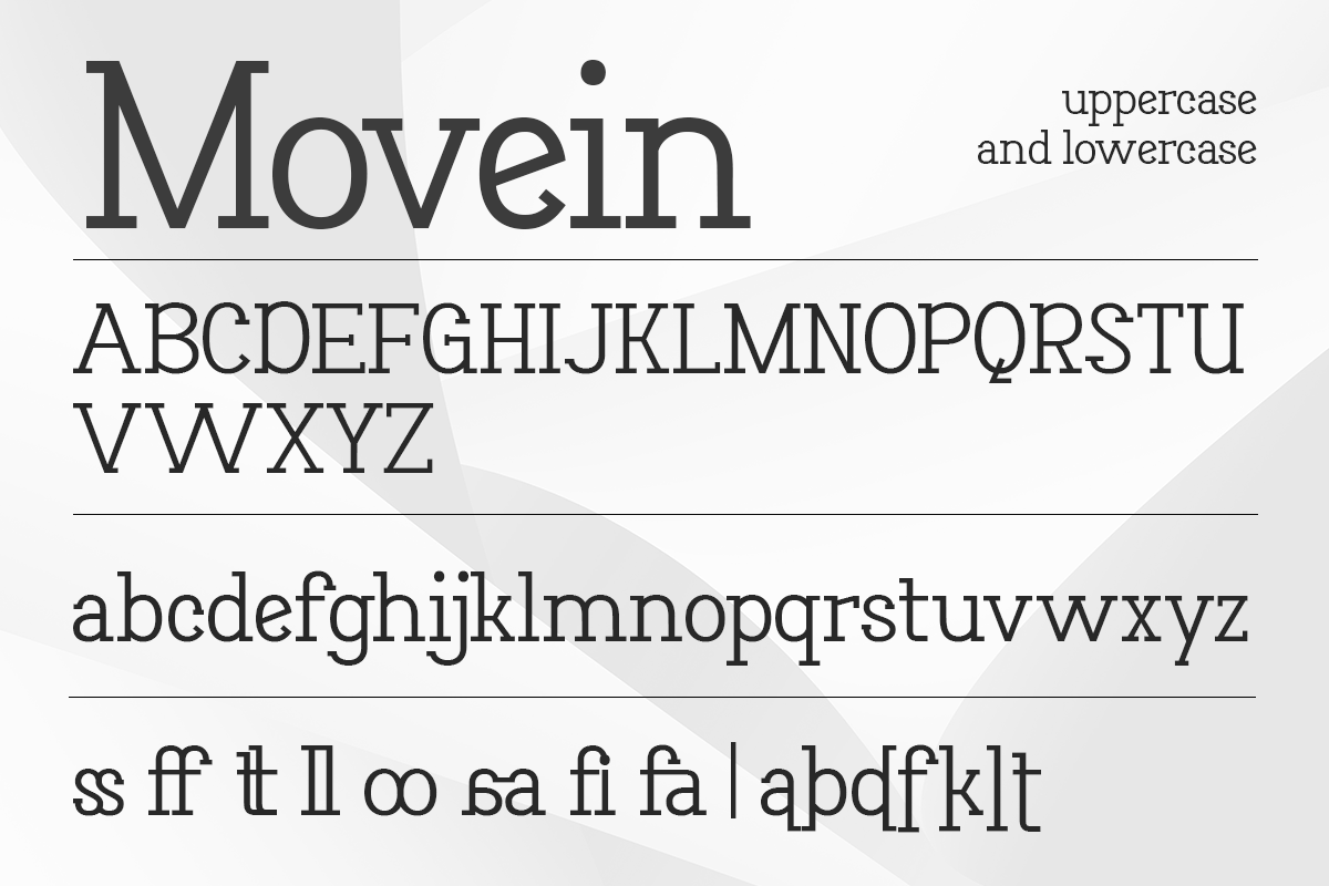 Movein Modern Classy Serif Font - Image 7