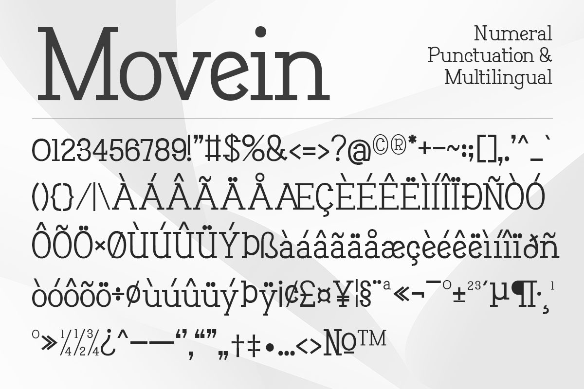 Movein Modern Classy Serif Font - Image 8