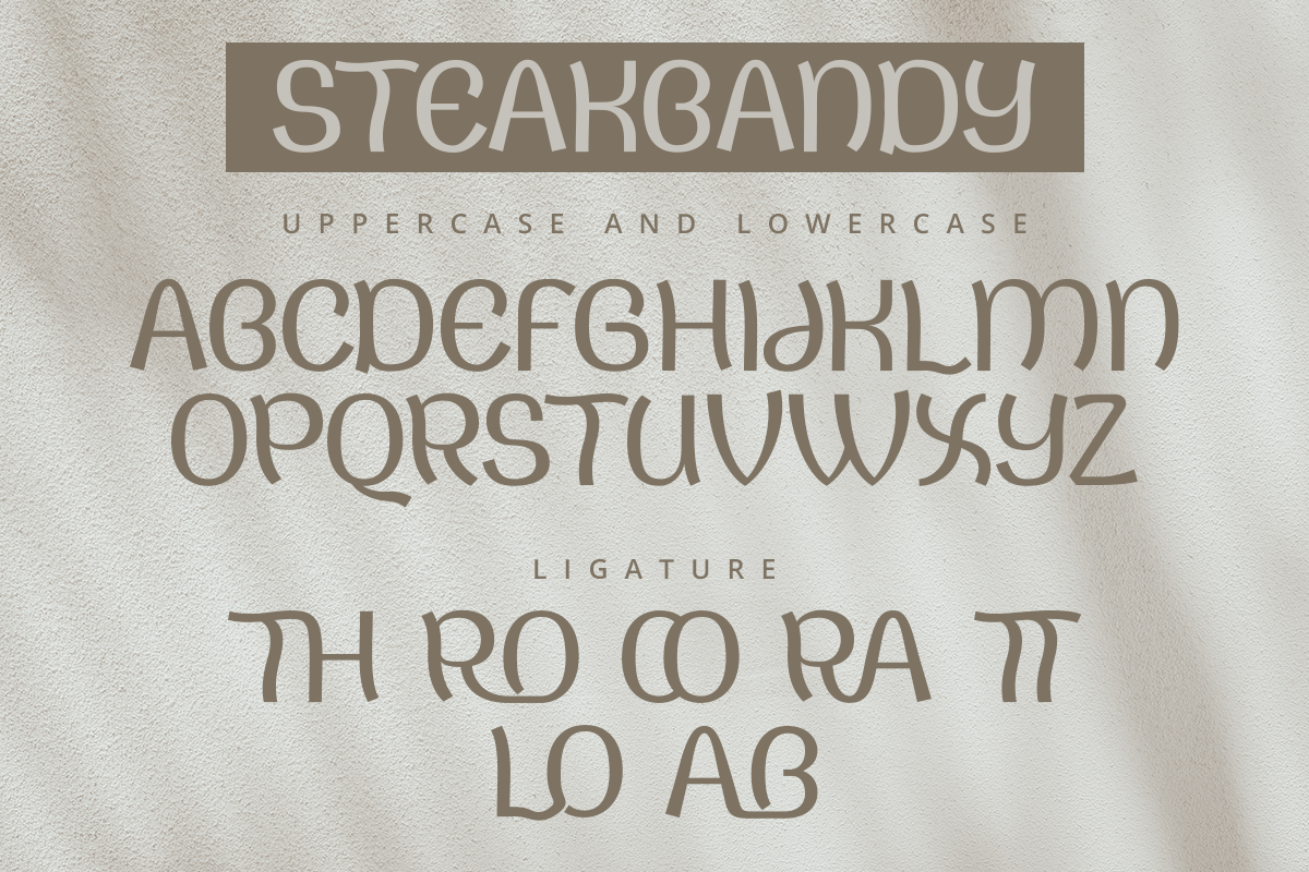 Steakbandy Modern Display Font - Image 8