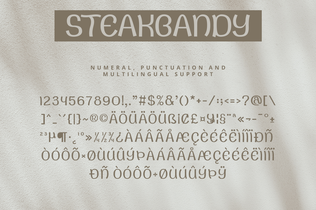 Steakbandy Modern Display Font - Image 9