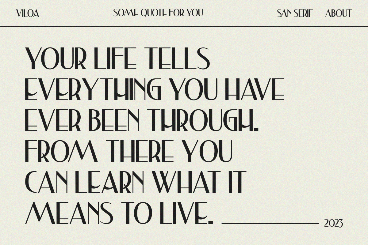 Viloa Classy Classy Sans Serif Font - Image 6