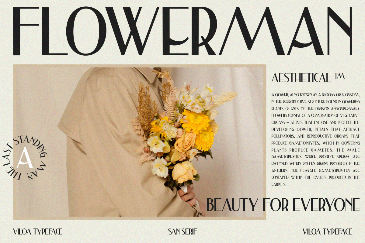 Viloa Classy Classy Sans Serif Font - Image 8