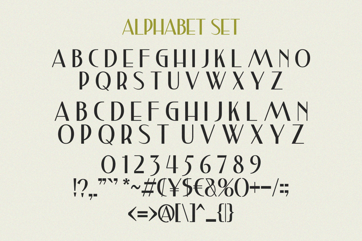 Viloa Classy Classy Sans Serif Font - Image 9