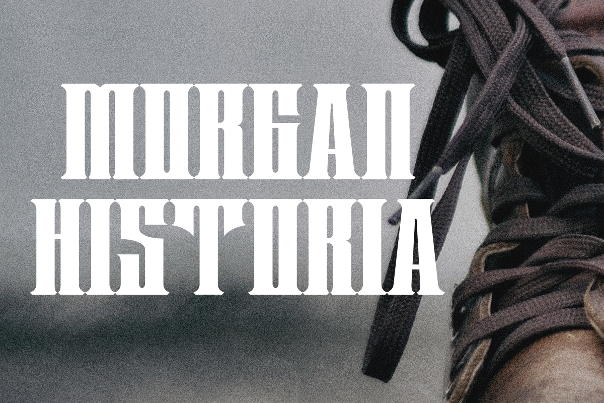 Borgoes Modern Display Vintage Font - Image 3