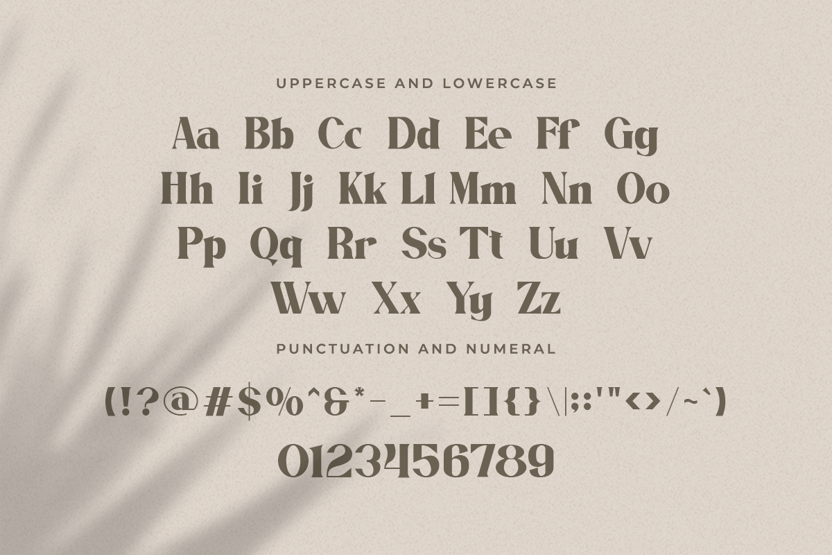 Bougenville Modern Classy Serif Font - Image 4