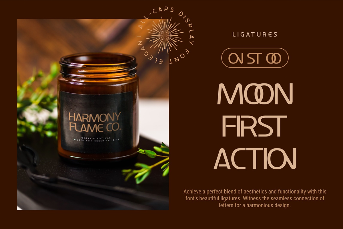 Couple Classy Sans Serif Font - Image 6