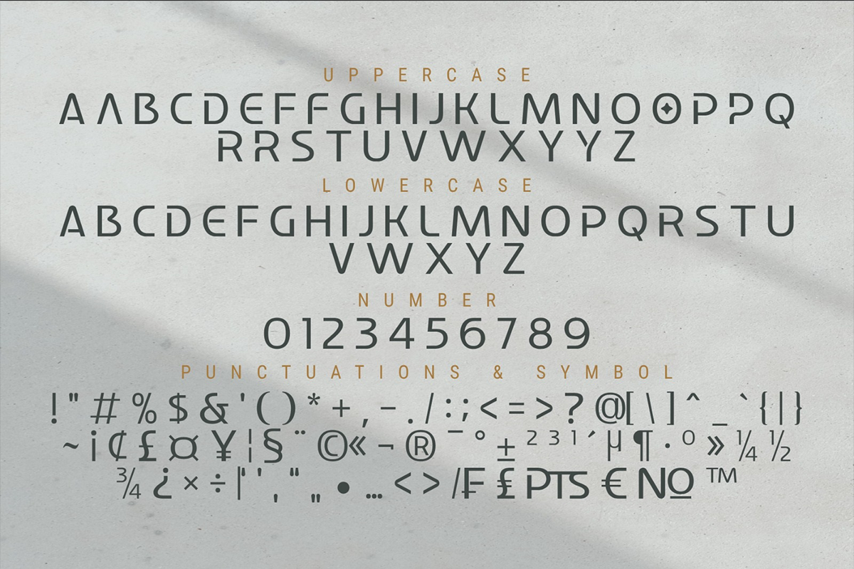 Couple Classy Sans Serif Font - Image 8