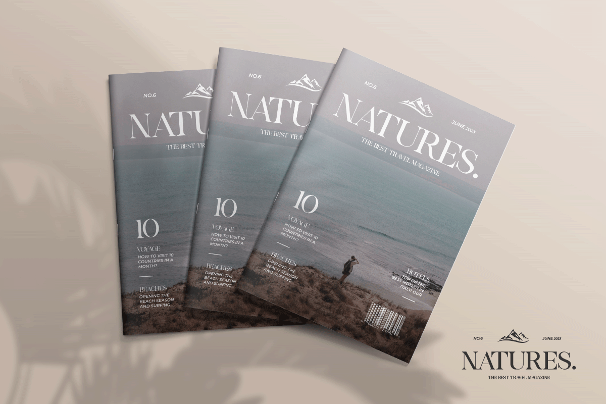 Lovely Modern Classy Serif Font - Image 3