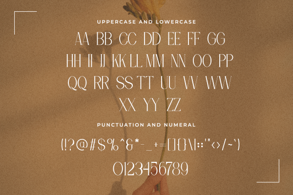 Queen Modern Classy Serif Font - Image 4
