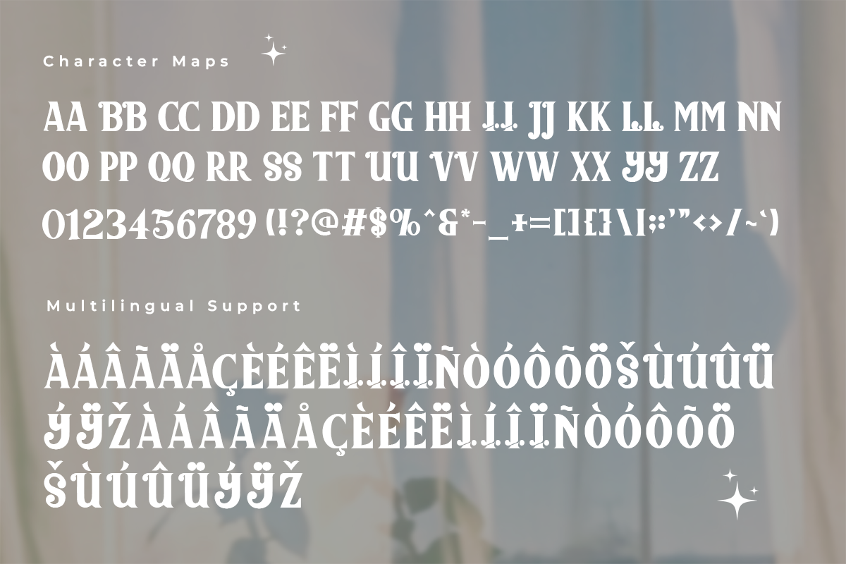 Valencia Modern Classy Serif Font - Image 5