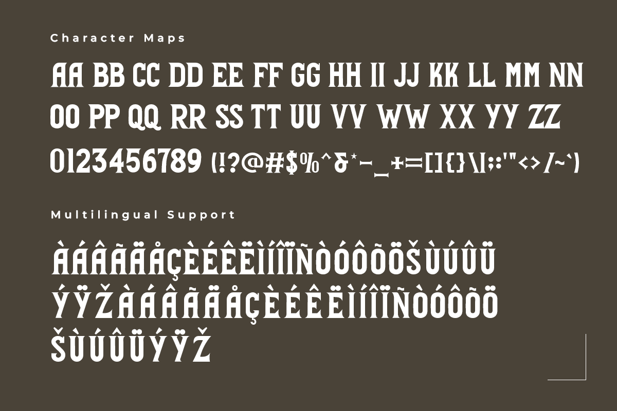 Brighton Modern Serif Film Font - Image 5