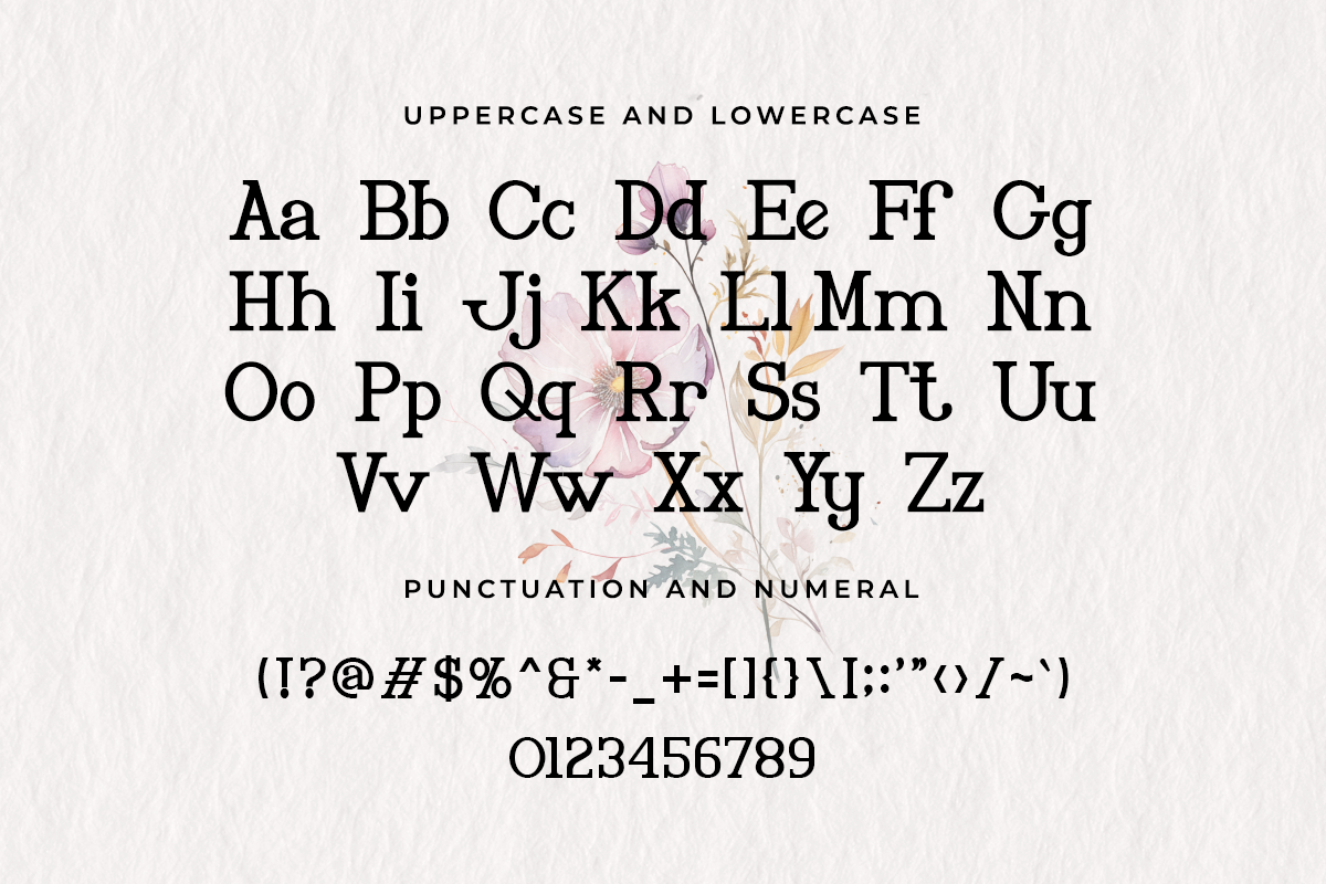 Elizabeth Modern Classy Serif Font - Image 5