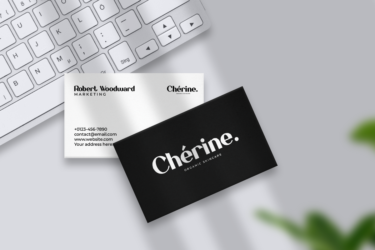 Salvador Modern Classy Sans Serif Font - Image 3