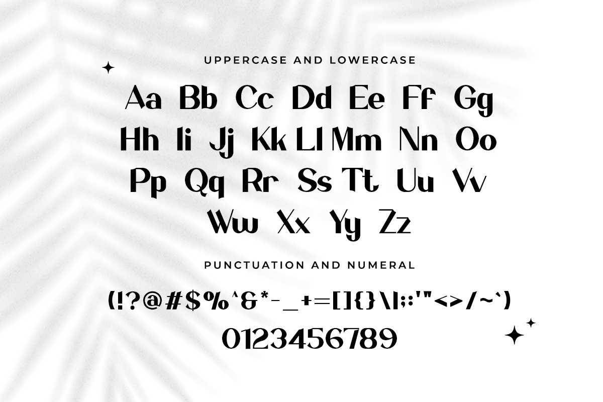 Salvador Modern Classy Sans Serif Font - Image 5