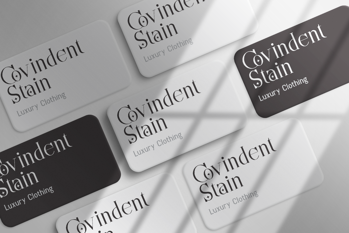 Costiva Modern Classy Serif Font - Image 3