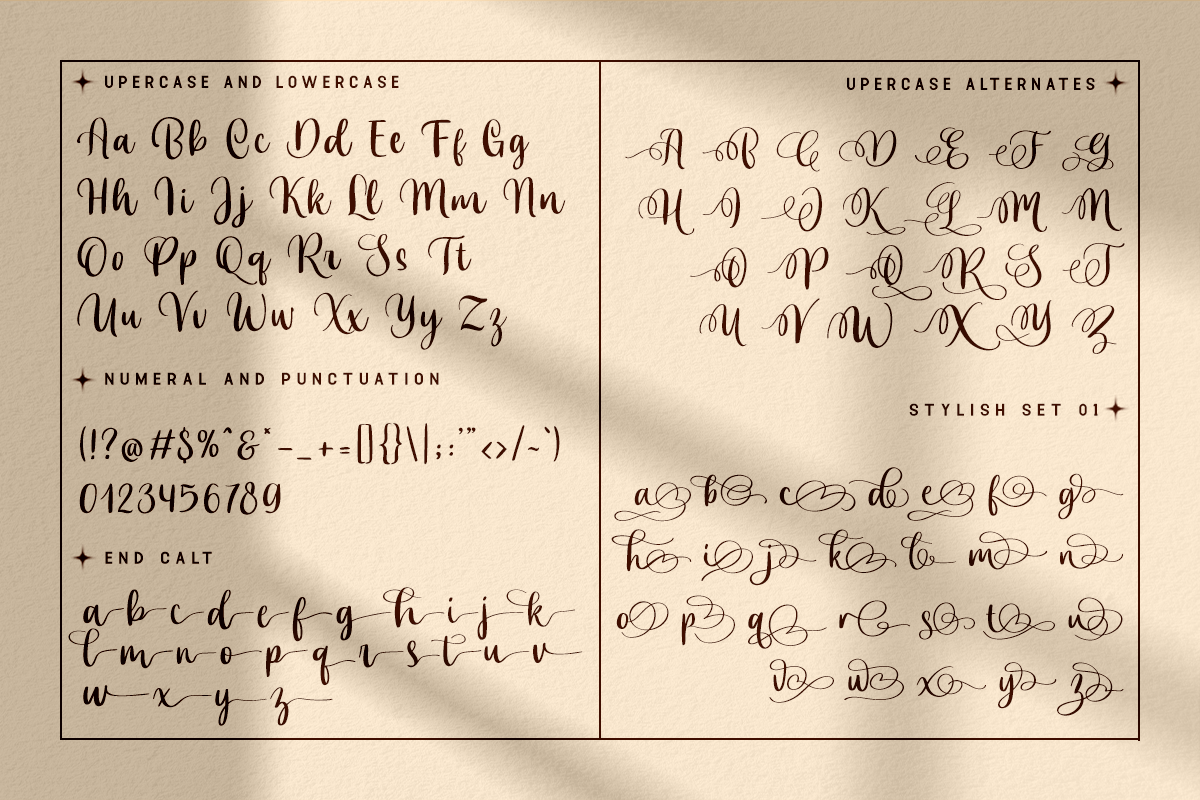 Celliya Modern Classy Script Calligraphy Font - Image 5