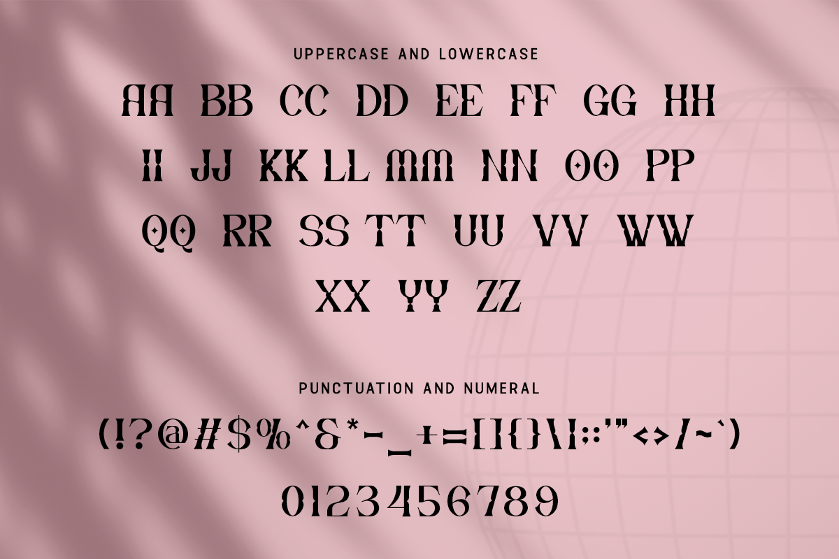 Vaoline Modern Classy Unique Serif Font - Image 5